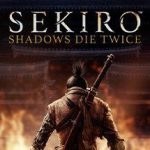 只狼：影逝二度/Sekiro™: Shadows Die Twice（v1.06年度版）