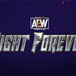 AEW：战斗永远/AEW: Fight Forever（v1.04版）