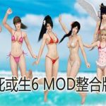 死或生6 MOD版/Dead or Alive 6（v1.22终极全邪恶MOD整合版）