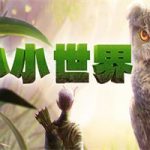 小小世界/Smalland: Survive the Wilds（v1.2）