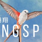 展翅翱翔 v1.6.1081（WINGSPAN）免安装中文版